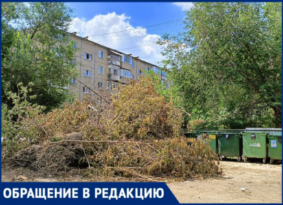 Крысы и пожароопасная свалка соседствуют с детской площадкой на улице Советской в Волжском