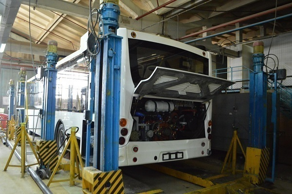 В Волгоградскую область поступят 58 низкопольных экологичных автобусов