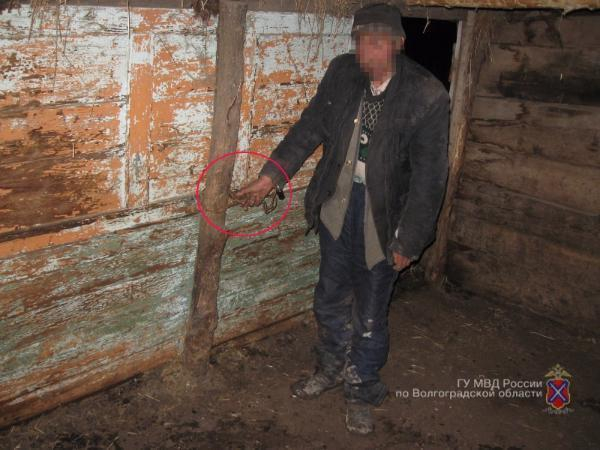 В Волгоградской области фермер посадил на цепь своего работника
