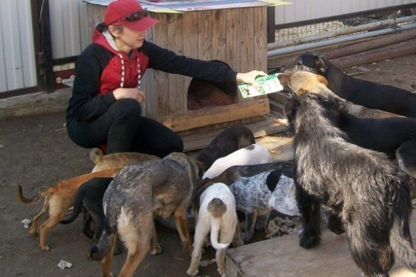 Художница из Волжского спасает собак от догхантеров