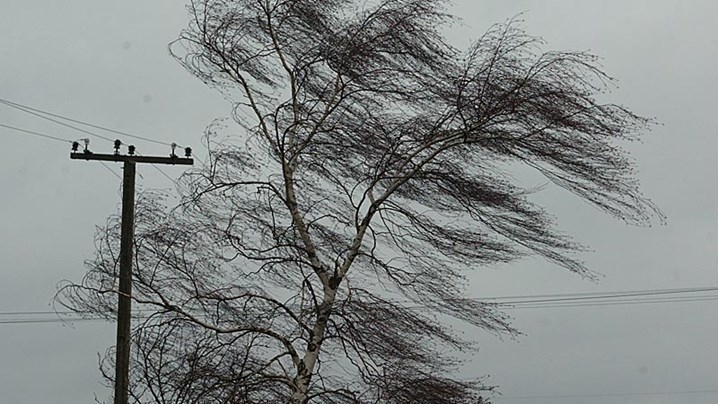 Волгоградскую область накроет мощный ураганный ветер