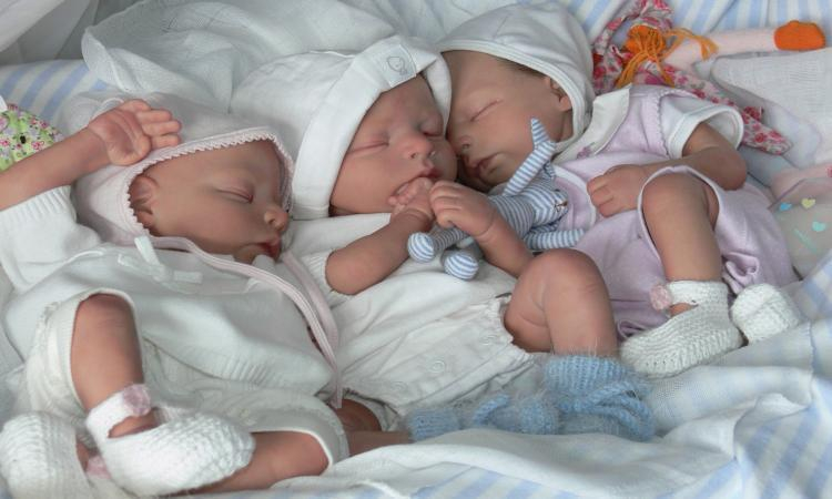 В Волгограде впервые в этом году родились тройняшки