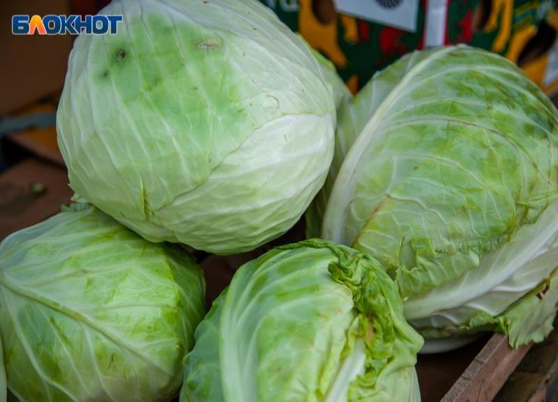 Сотню рублей за килограмм капусты: в магазинах Волжского очередное подорожание