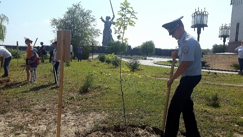 Волгоградские полицейские провели субботник на Мамаевом кургане
