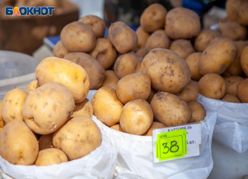 Рассыпчатая и вкусная: подборка цен на картофель в магазинах Волжского