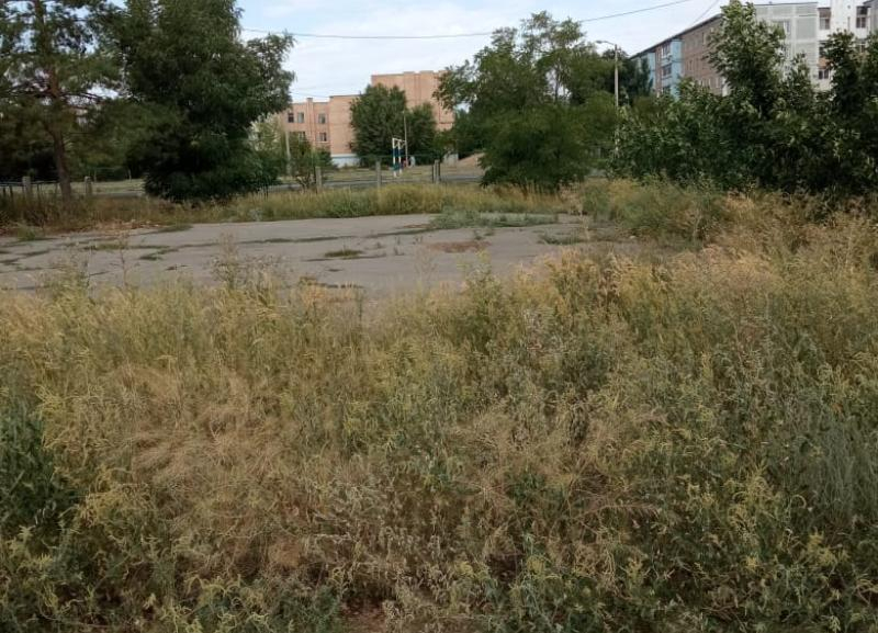 В Волжском пренебрежительно скосили траву после публикации в «Блокнот Волжский»