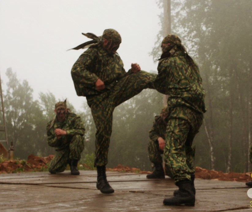 На День города в Волгограде военные покажут мастерство рукопашного боя