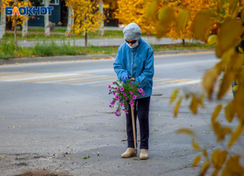 Одиноких пенсионеров берут под опеку в семьи в Волжском