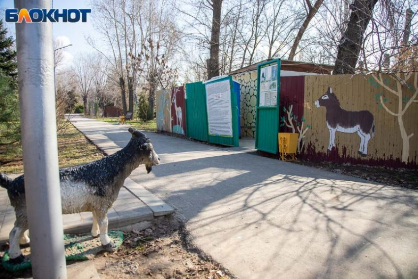 День напомнит о домашних делах: гороскоп на 4 апреля