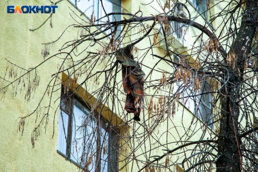 5-летний ребенок выпал из окна 2 этажа в Волжском