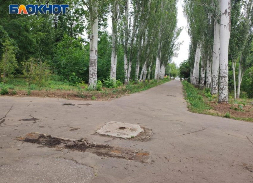 В Волжском «блудного» оленя планируют вернуть в парк на день города