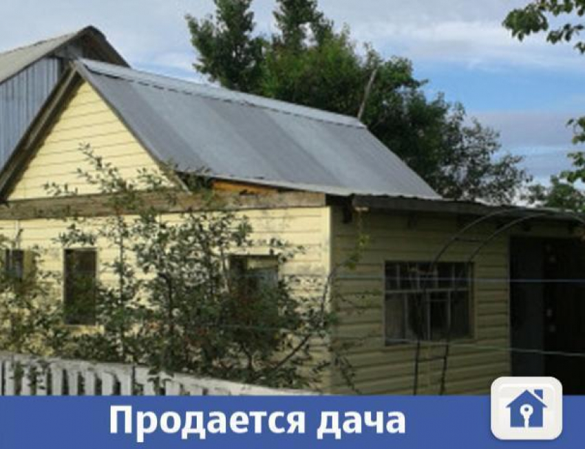 Волжанам предлагают купить дачу с большим садом