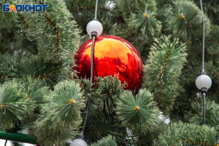 Эволюция новогоднего стола: от селедки под шубой до авокадо-тартаров