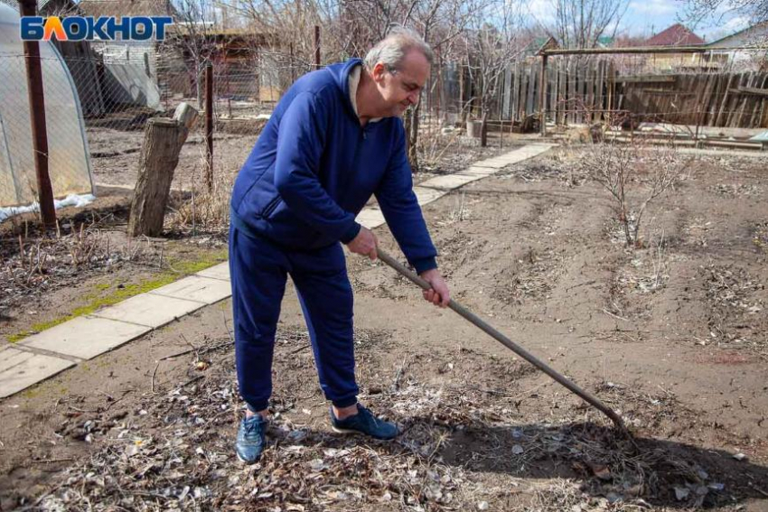 Время сеять! Список культур для посадки на участке в апреле