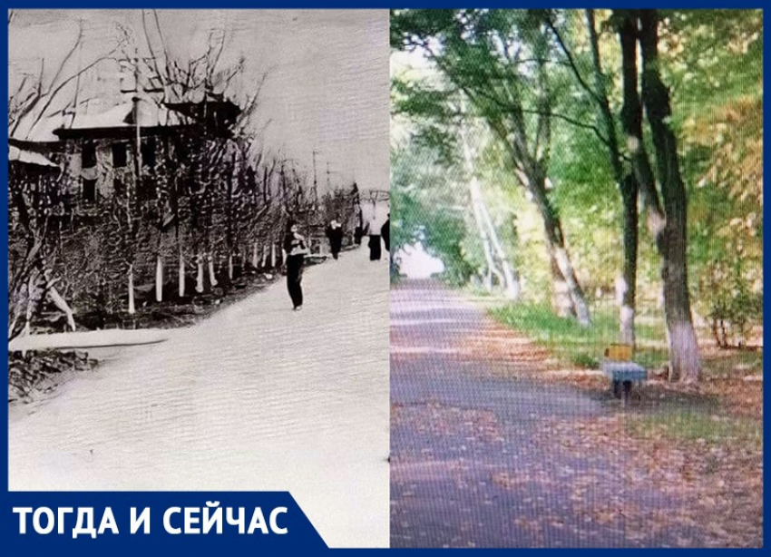 Первые деревья в сквере Комсомольском в Волжском высадили весной 1951 года