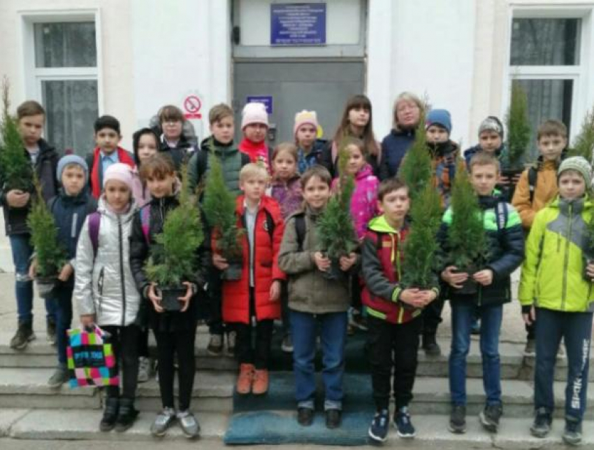 Волжские школьники посадили аллею своего класса