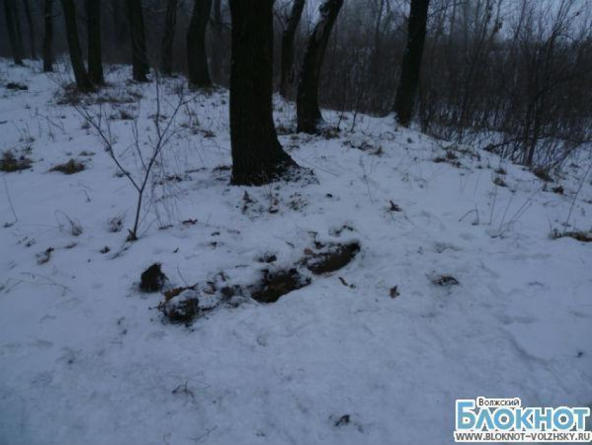 В Волгоградской области обнаружена авиабомба