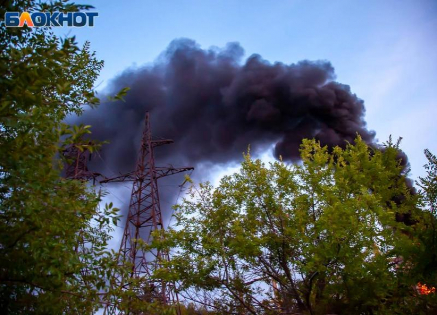 Стала известна причина пожара в СНТ в Волжском 