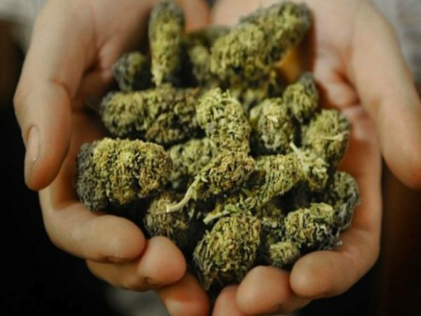 Молодой житель Краснослободска привез в Волгоград два килограмма марихуаны 