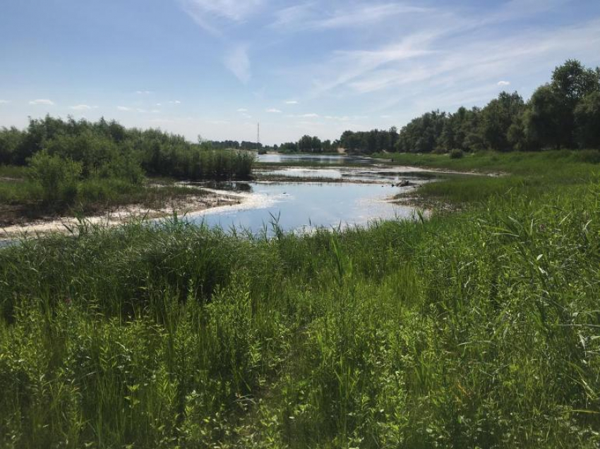 Солнечная, но прохладная пятница ожидает волжан