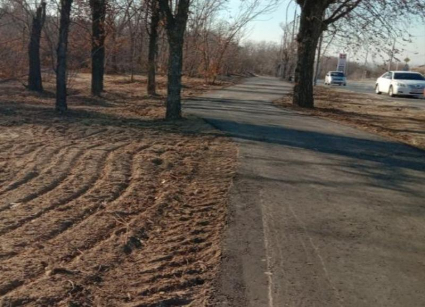 В Волжском построят велотрассу через весь город