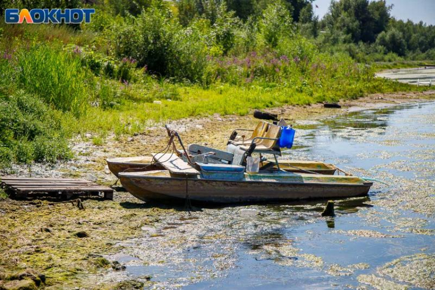 Не приглашать в дом гостей в день Никиты — гусятника: рекомендует волжская травница