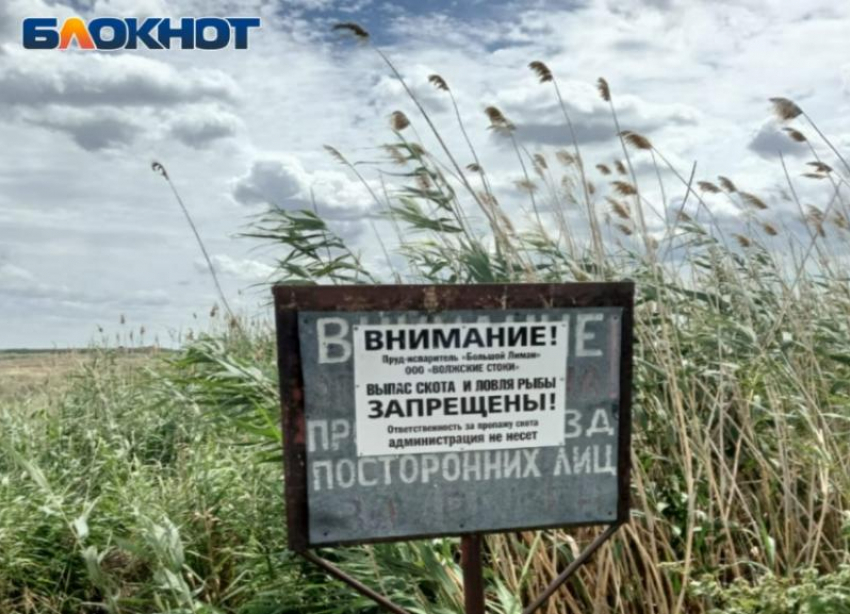 Большой Лиман под федеральным контролем: что сообщили в комитете Волгоградской области