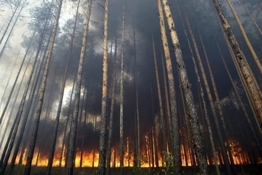 Жителей Волжского предупреждают об экстренной пожароопасности в регионе