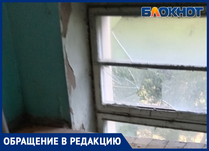 «Антисанитария»: волжане из домов УК «Спектр» жалуются на отсутствие уборки