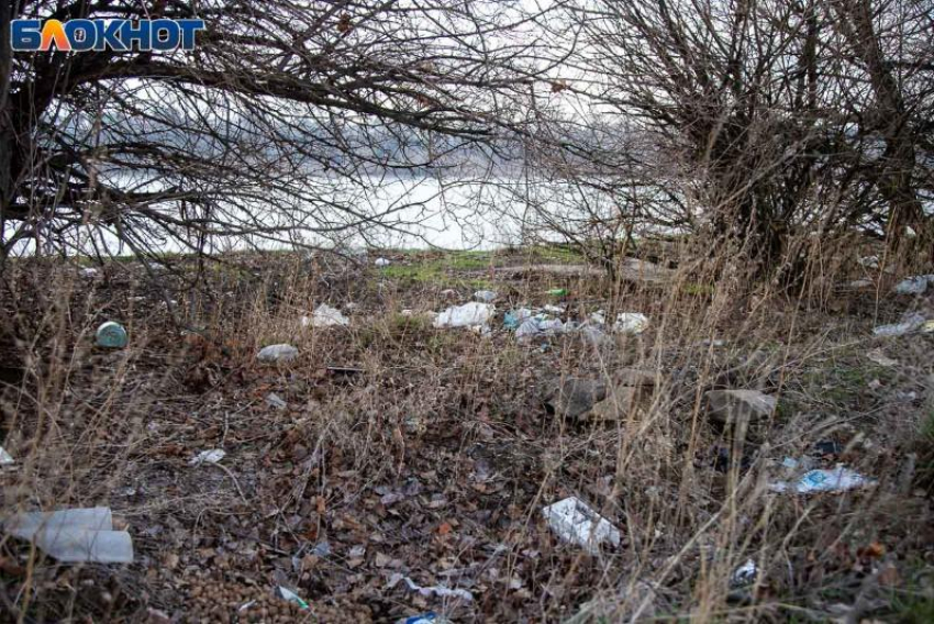 Берег закрыт, помойка открыта: прокуратура взялась за СНТ в Волжском