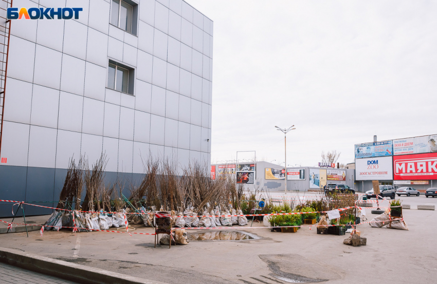 Ритуальные принадлежности и семена вошли в список товаров доступных для продажи в период самоизоляции
