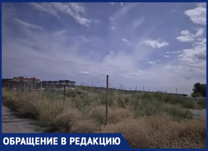 «Пожар обеспечен?»: волжанин пожаловался на заросшую сухой травой автостоянку
