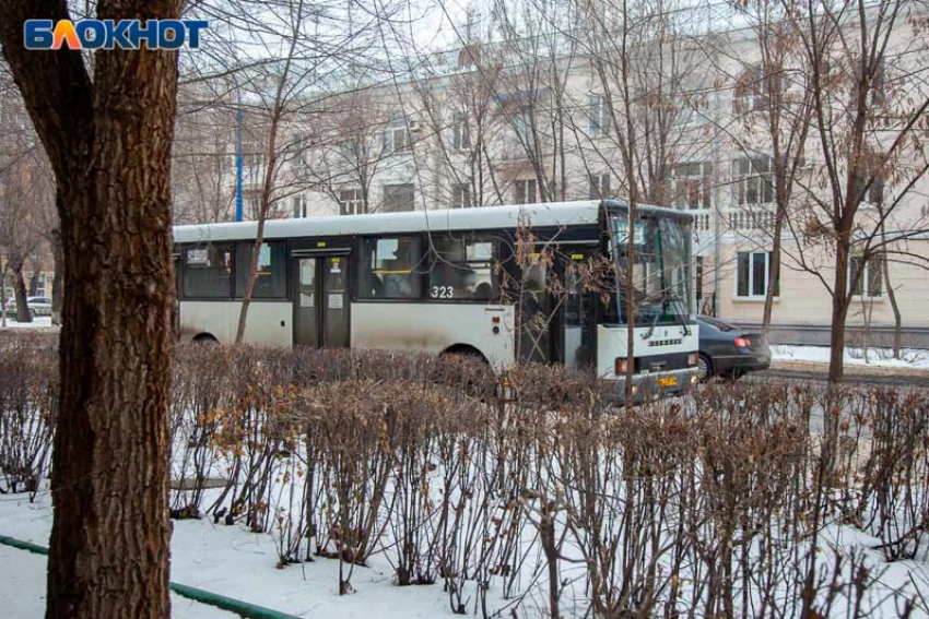 Актуальное расписание автобусов с 10 января в Волжском: рейсы сократили