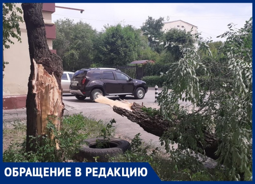 Дерево упало на жилой дом: в комбинате благоустройства Волжского отказались принимать вызов