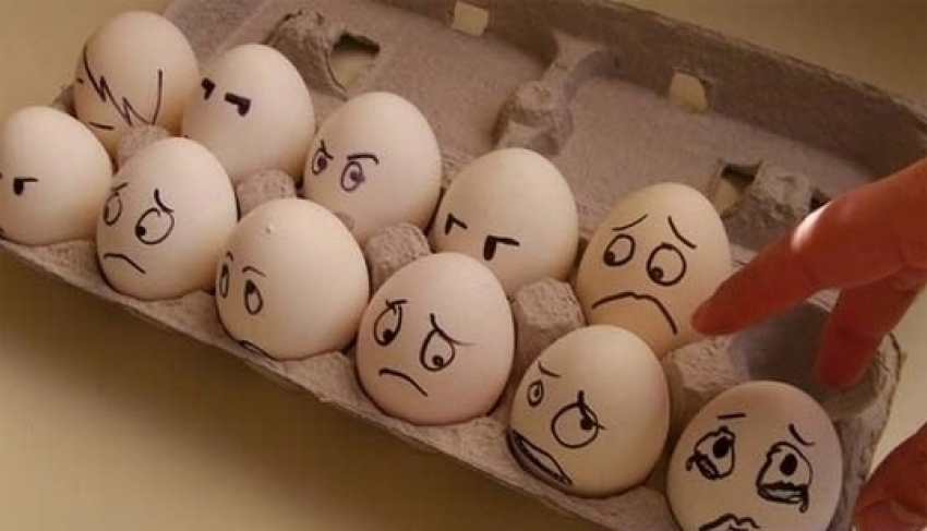Предпринимателя оштрафовали в Волжском за неправильное хранение яиц