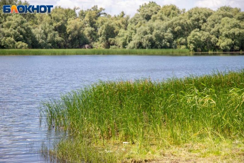 Облить водой соседа рекомендует волжская травница в День Ивана Купалы