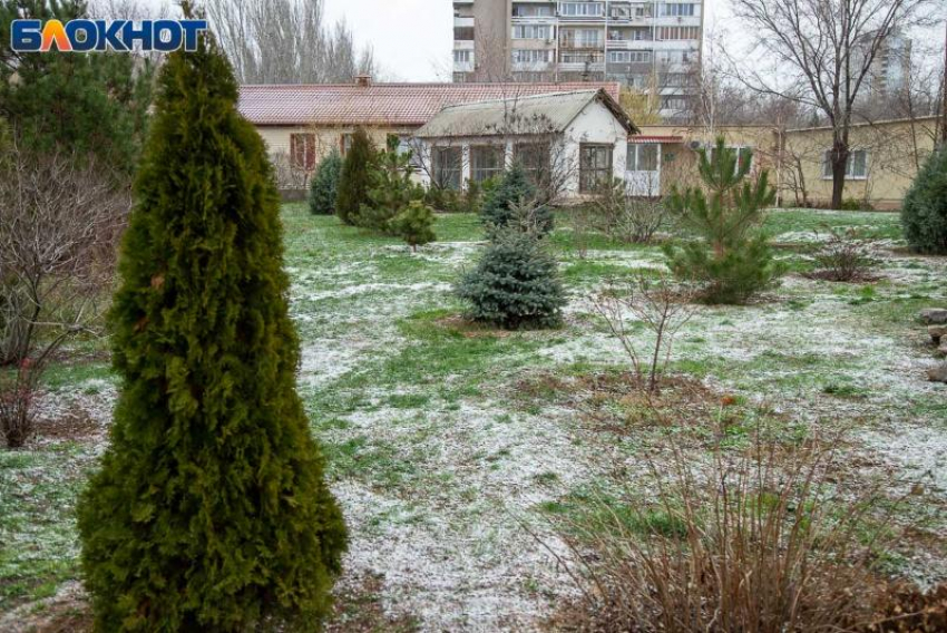 Утро порадует солнце: погода в Волжском