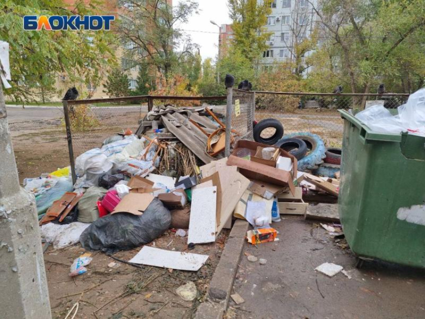 Куда волжанам выбрасывать старую мебель, шины и строительный мусор