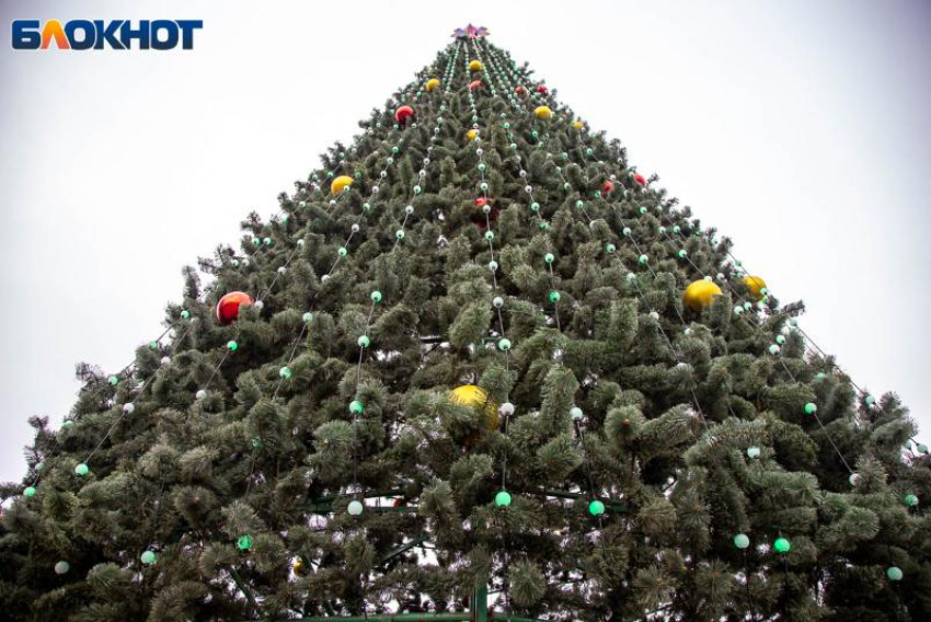 Вторая жизнь новогодних елок: Волжский включился в экологический «Елковорот»