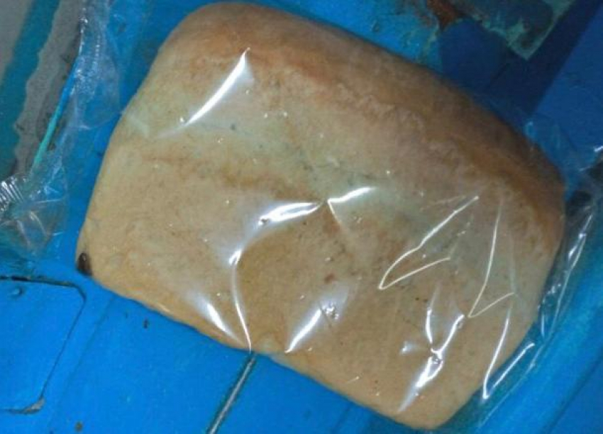 Таракана упаковали с буханкой хлеба