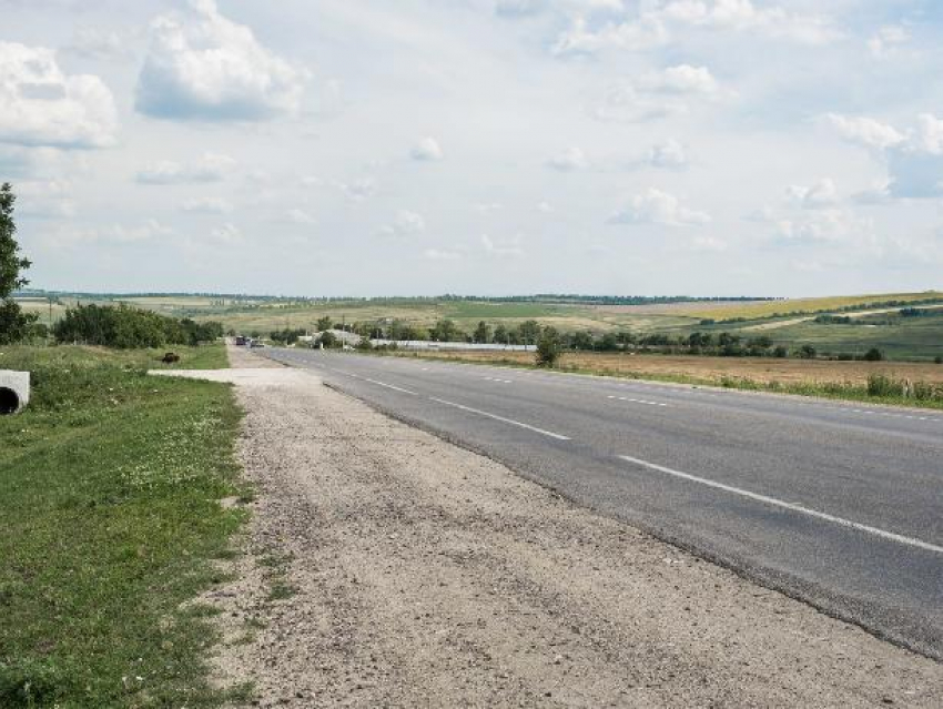 На трассе в области сбили пешехода насмерть