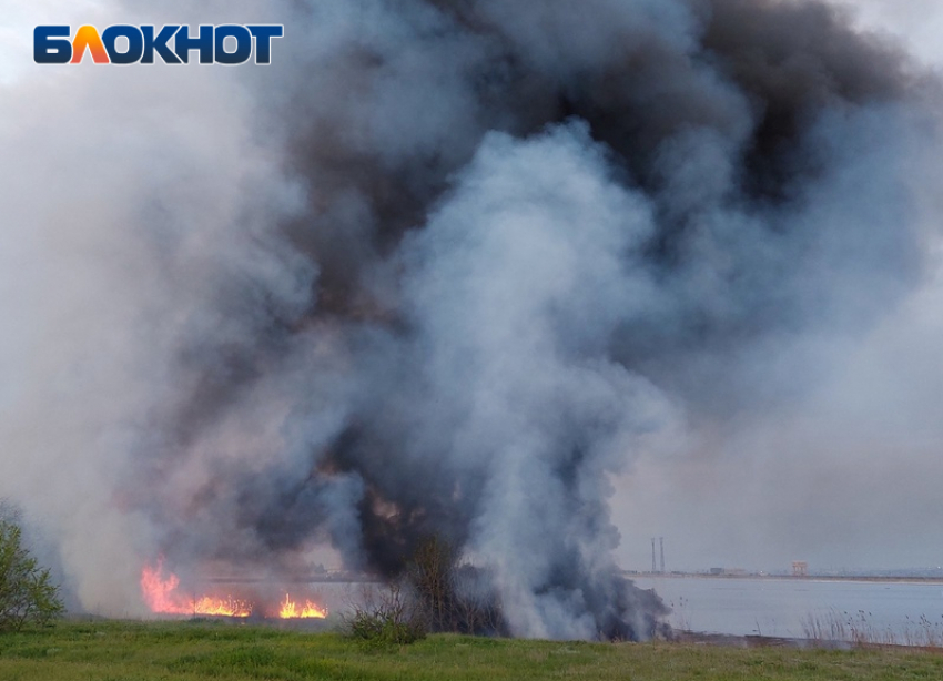 Охватило огнем побережье водохранилища: близ Волжского загорелся камыш