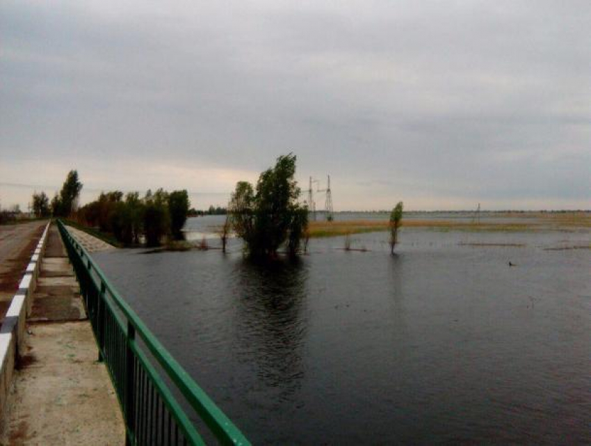 Экологический квест по уборке берега Ахтубы решили провести в Волжском