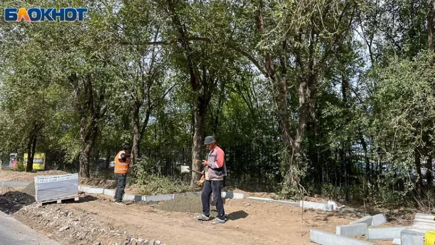 Прокуратура спасла землю предпринимателя от незаконных посягательств администрации Волжского