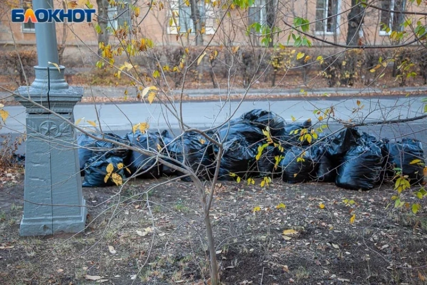 Волжскую молодежь приглашают изменить город к лучшему