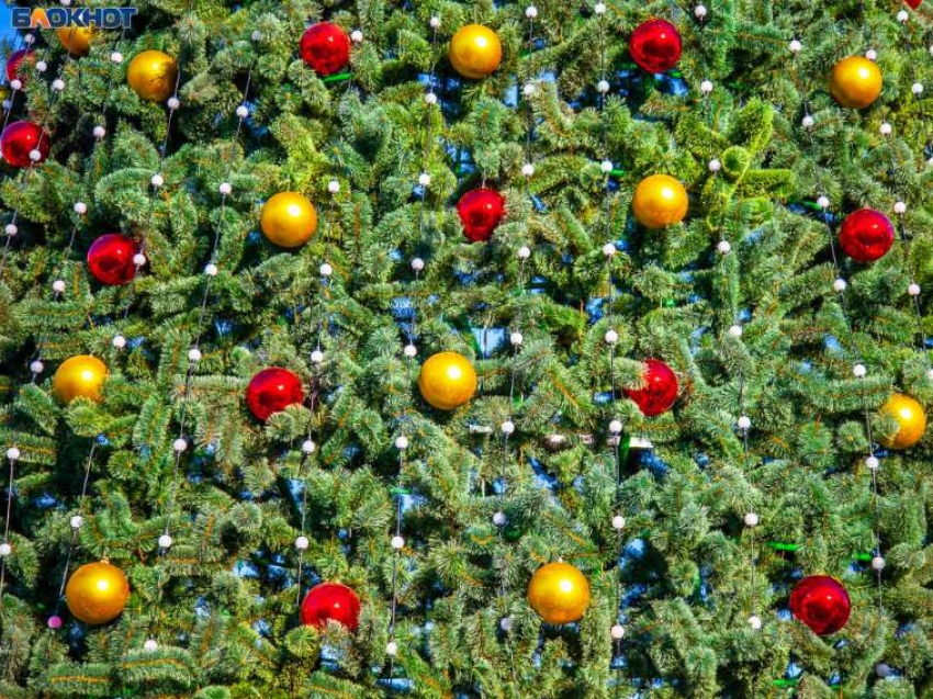 ТОП-7 интересных фактов о Рождестве