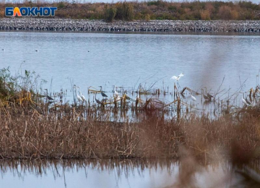 Скучное небо ждет волжан в воскресенье: прогноз погоды 