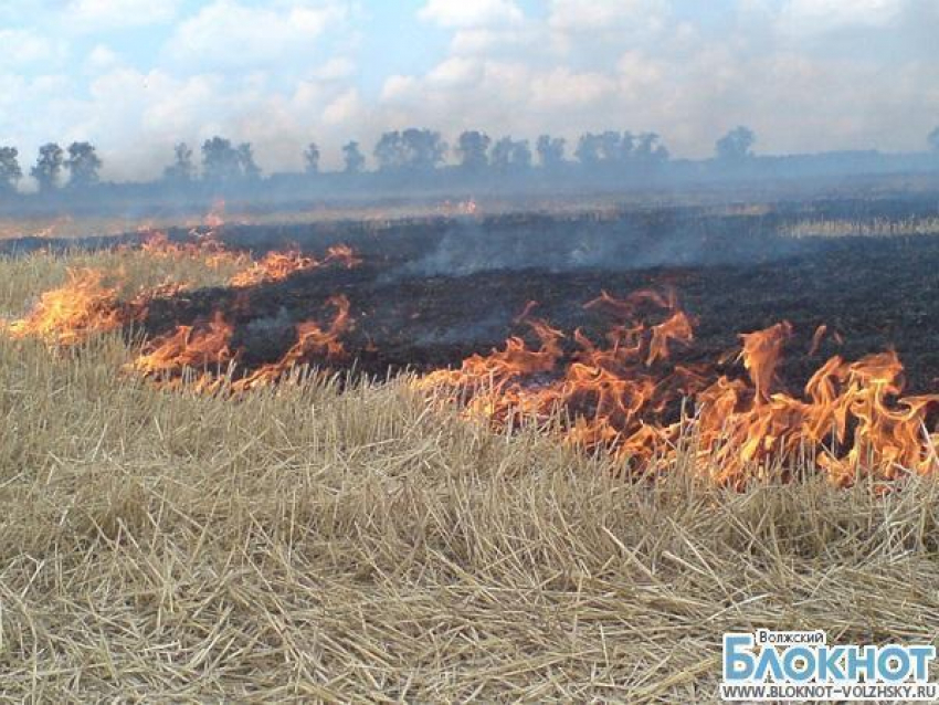 В Волгоградской области горит трава