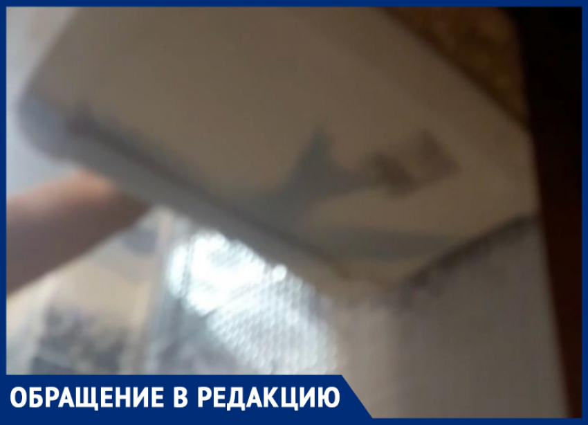«В квартиру падали опарыши»: о жутких соседях и бездействии УК рассказала жительница Волжского