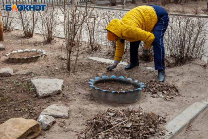 Советы для волжан как обезопасить огород на даче от заморозков